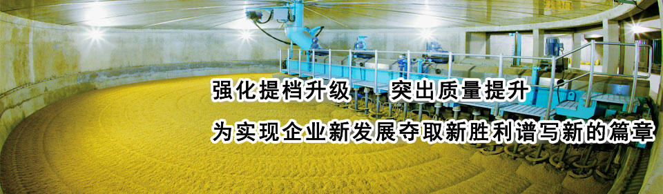 單作用空心(穿心)千斤頂